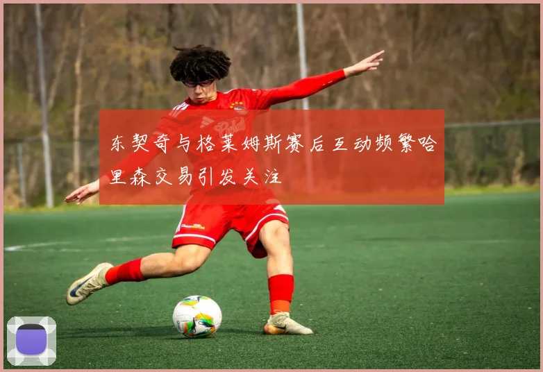 东契奇与格莱姆斯赛后互动频繁哈里森交易引发关注
