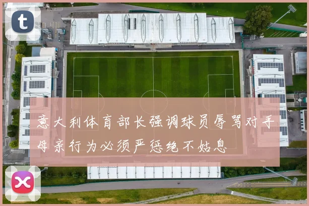 意大利体育部长强调球员辱骂对手母亲行为必须严惩绝不姑息