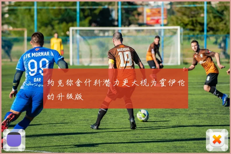 约克称舍什科潜力更大视为霍伊伦的升级版