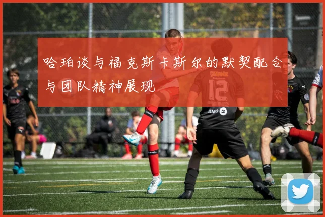 哈珀谈与福克斯卡斯尔的默契配合与团队精神展现